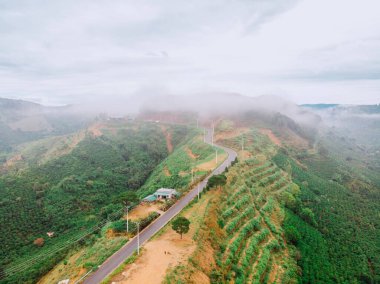 Tayvan 'daki güzel dağ manzarası