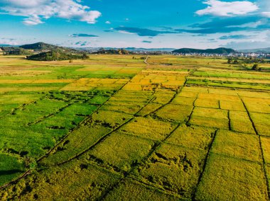 Ormandaki yol manzarası, Lam Dong Vietnam manzarası yukarıdan güzel bir sabah. 