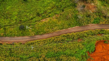 Ormandaki yol manzarası, Lam Dong Vietnam manzarası yukarıdan güzel bir sabah. 