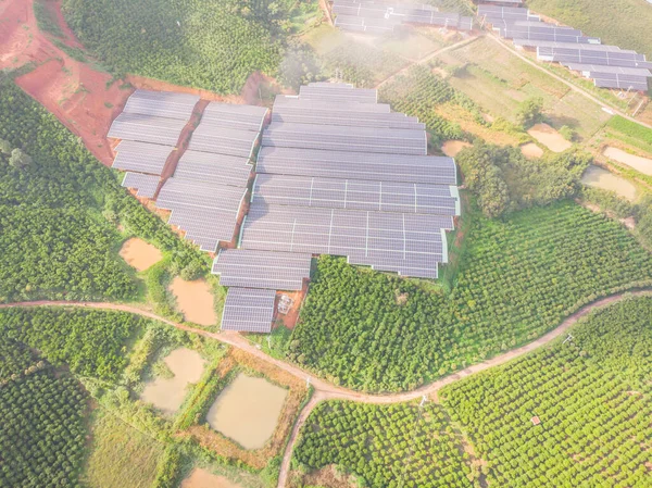 Drohnenblick Auf Die Teeplantagen Auf Der Plantage — Stockfoto