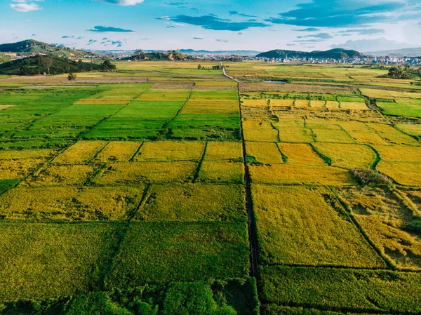 Vista Aérea Estrada Floresta Paisagem Lam Dong Vietnã Panorama Cima — Fotografia de Stock
