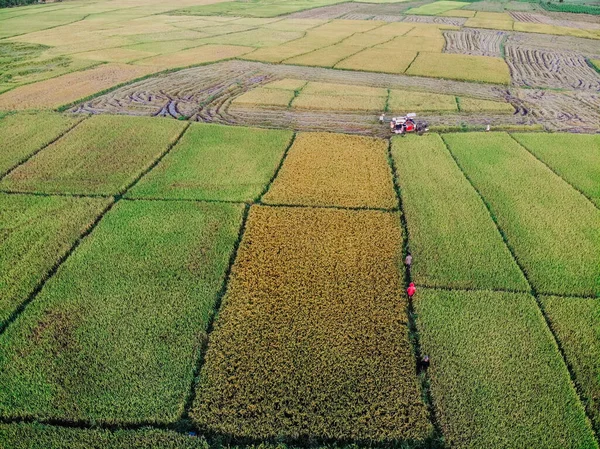 Créé Par Caméra Dji — Photo