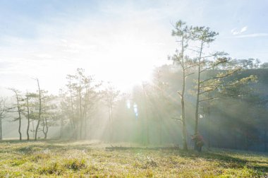 Dağlarda yürüyüş yapan bir adam