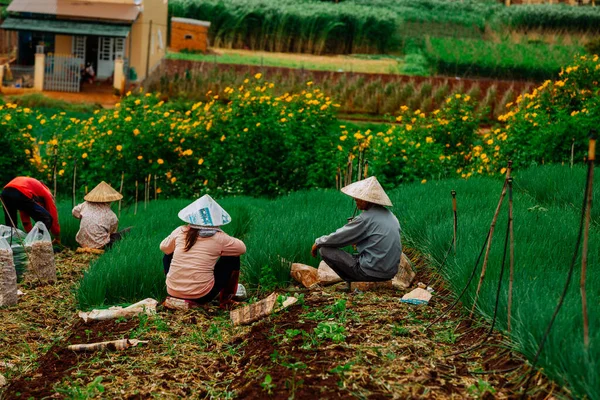 白いドレスの女性と庭に米の袋が付いている帽子 — ストック写真