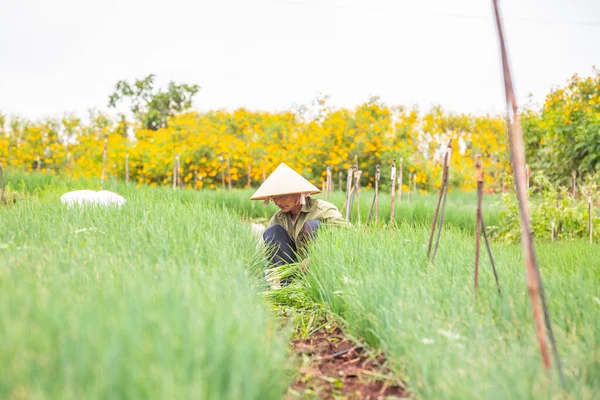 アジアの農民が田舎で働いている — ストック写真
