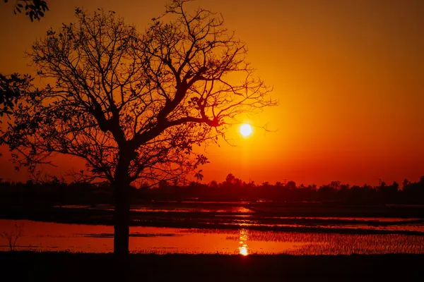 Красивий Захід Сонця Над Озером Фоні Сонця — стокове фото
