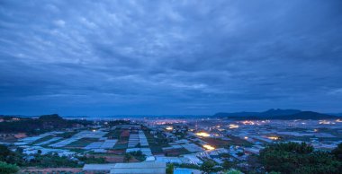 Yeni Zelanda adasının manzarası.