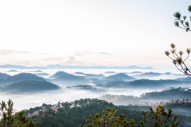  Birkaç ağacı olan bir dağ manzarası.