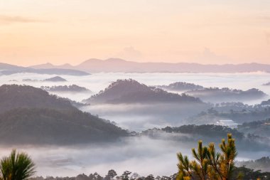  Birkaç ağacı olan bir vadi manzarası.