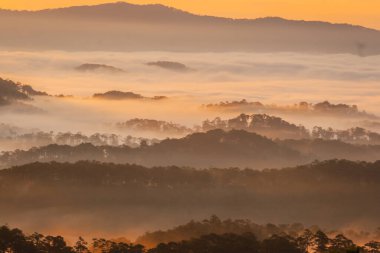  Önünde birkaç ağaç olan bir dağ sırası.