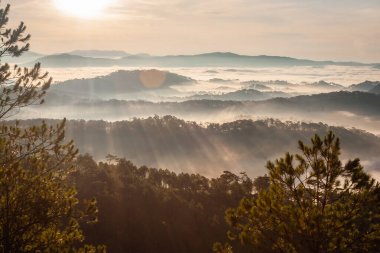  Ağaçlı ve sisli bir vadi manzarası