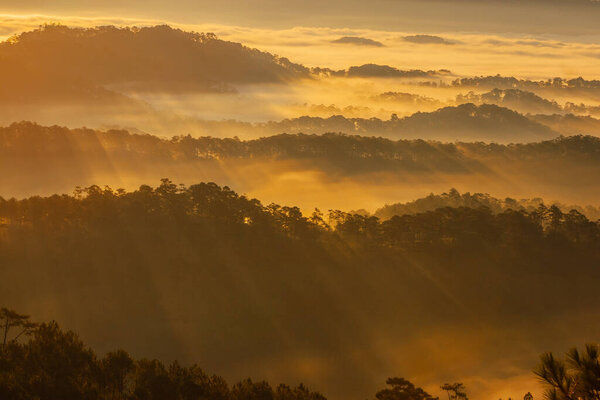  a view of a valley with a few trees