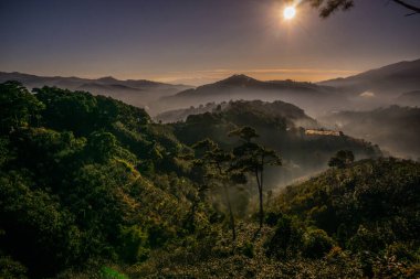 Don Duong 'da güzel bir sabah, Lam Dong, Vietnam, sihirli ışık ve kan ağaçların arasından parlayan çam tepelerini kapladı, güzel ışık huzmeleri yarattı..