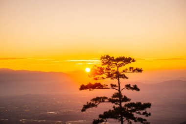 Don Duong 'da güzel bir sabah, Lam Dong, Vietnam, sihirli ışık ve kan ağaçların arasından parlayan çam tepelerini kapladı, güzel ışık huzmeleri yarattı..