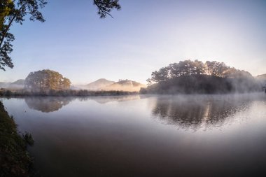 Ormanda güzel bir gün batımı