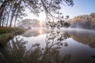 Sabah ormandaki nehrin güzel manzarası.