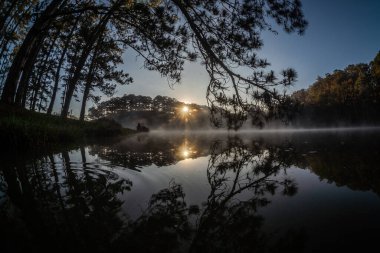 Ormanda güzel bir gün batımı
