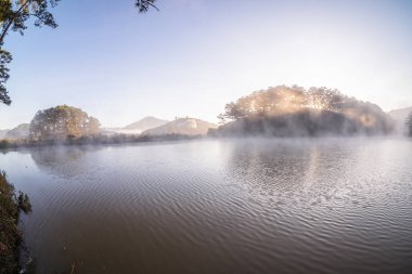 Arka planda nehir ve göl olan güzel bir manzara.