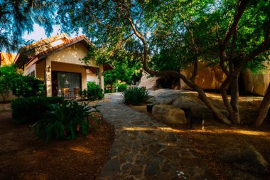 Doğanın güzel manzarası