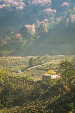 Dağların güzel manzarası