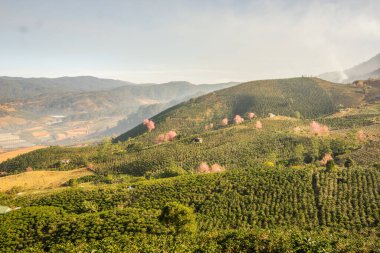 Arkasında dağlar olan güzel bir manzara.