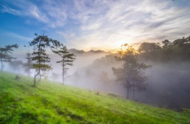 Gün doğumunda dağda sis.