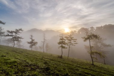 Dağda güzel bir gün doğumu sisli ve bulutlu, Doi suthep, Chiang Mai thailand vilayeti.