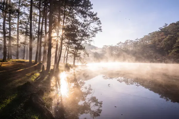 Sabah sisli güzel bir gün doğumu.