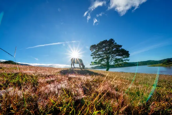 Dağlardaki göl manzarası
