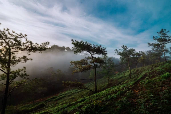 Dağları olan güzel bir manzara