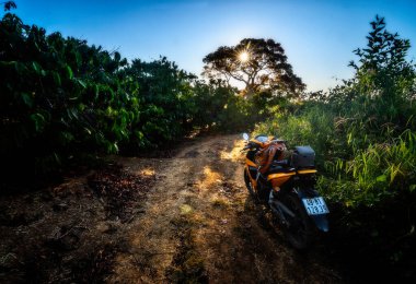 Ormanda bisiklet süren bir adam.