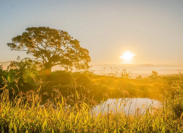 Ormanda güzel bir gün batımı