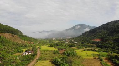 Dağdaki pirinç terasından, Endonezya