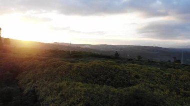 Güzel bir gün batımının hava aracı görüntüsü