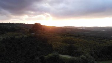 Ormanın güzel manzarası