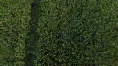 alanın havadan görüntüsü