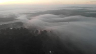 Ormanın üzerindeki sisli hava manzarası