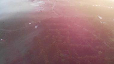 Sonbaharda ormanın üzerindeki sisli hava aracı görüntüsü