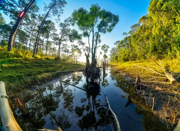 Atlar nehirde otluyor ve arka planda bir dağ var.
