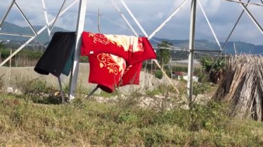 Parkın güzel manzarası