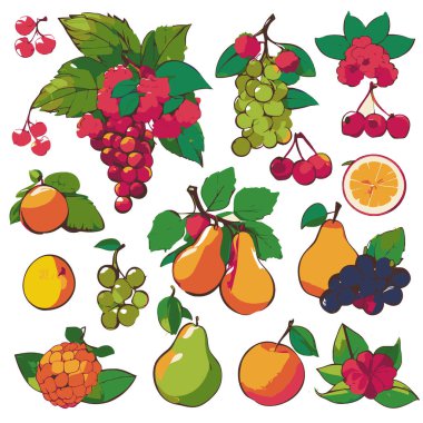 meyve desenli mango, üzüm, kiraz