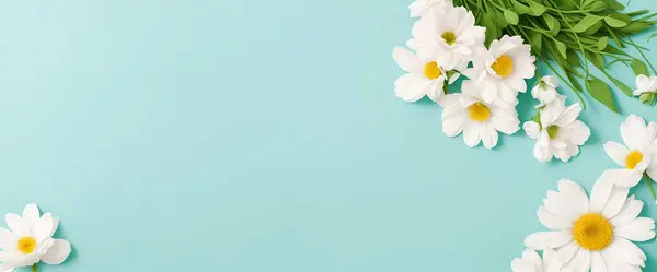 flat lay of beautiful daisy flowers on pastel blue background. top lay.