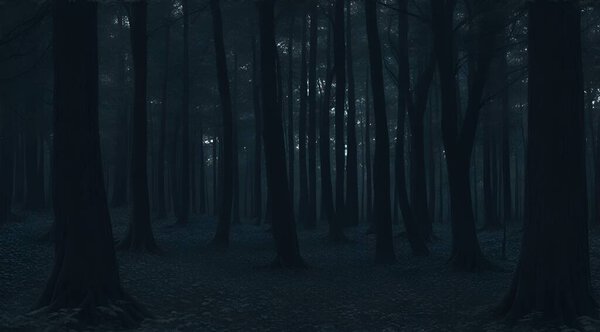 Dark forest in night