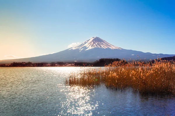 Kawaguchiko Gölü ile Japonya 'da Fuji manzarası