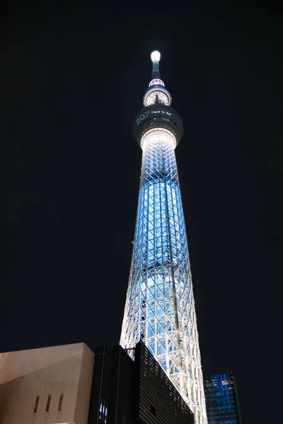 Japonya 'da gece Tokyo Gökyüzü Ağacı