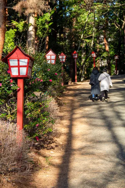Japonya, Yamanashi 'deki Chureito Pagoda' ya giden yol.