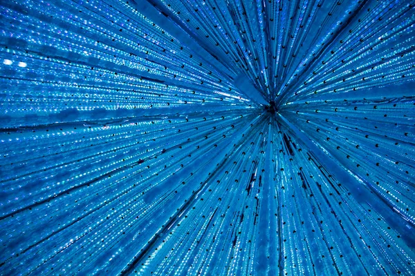Tokyo 'daki dijital sanat müzesinde Işık Gösterisi