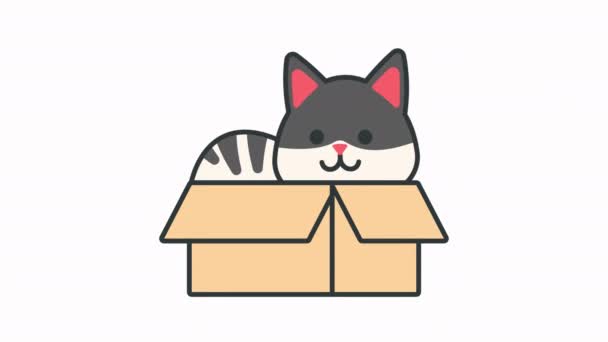 Carino Gatto Nella Scatola Animazione — Video Stock
