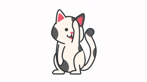 Lindo Gato Limpieza Cuerpo Animación — Vídeos de Stock