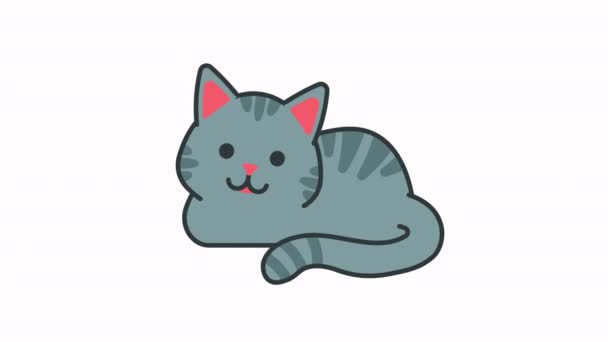 Lindo Gato Gris Sentado Animación — Vídeos de Stock